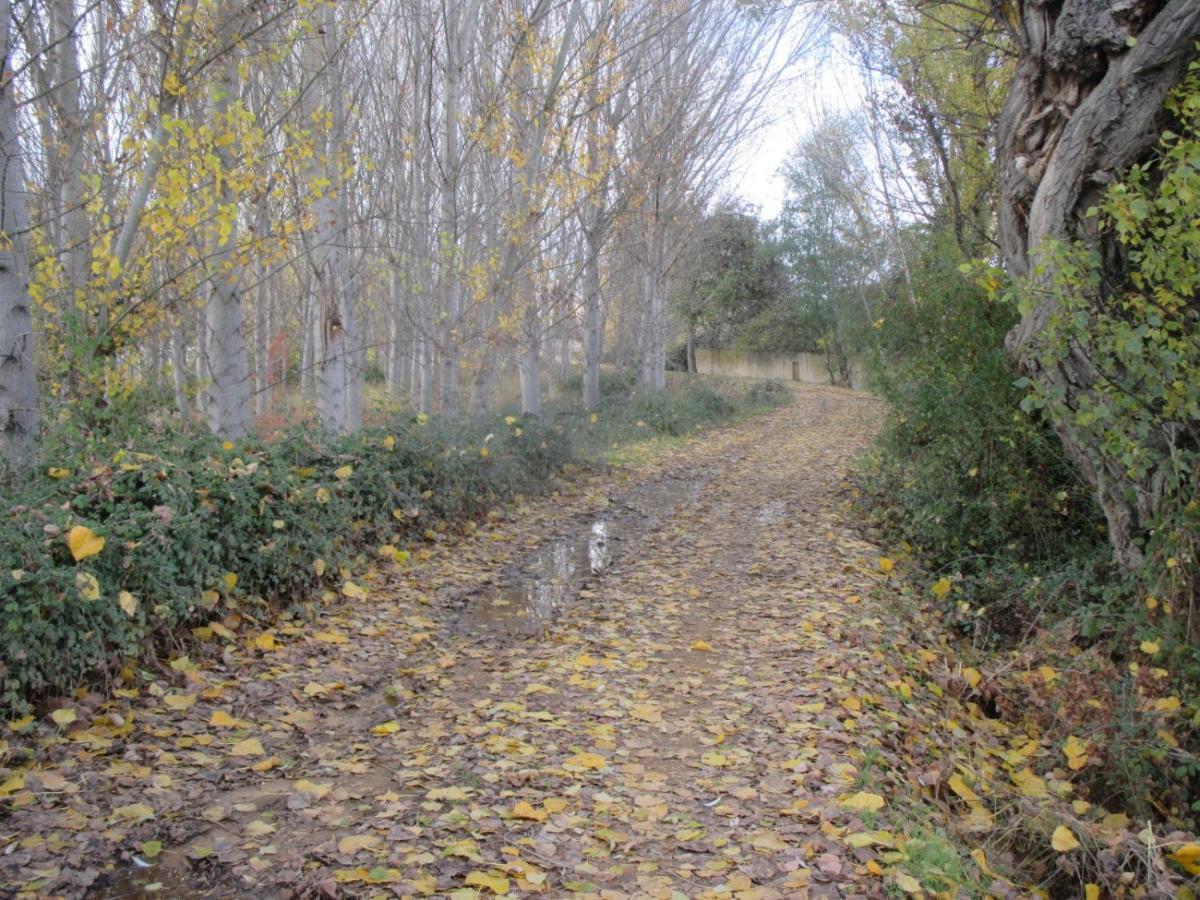 Вилла Boleta A 5 Minutos De Leon, Casa Con Jardin Сан-Андрес-дель-Рабанедо Экстерьер фото