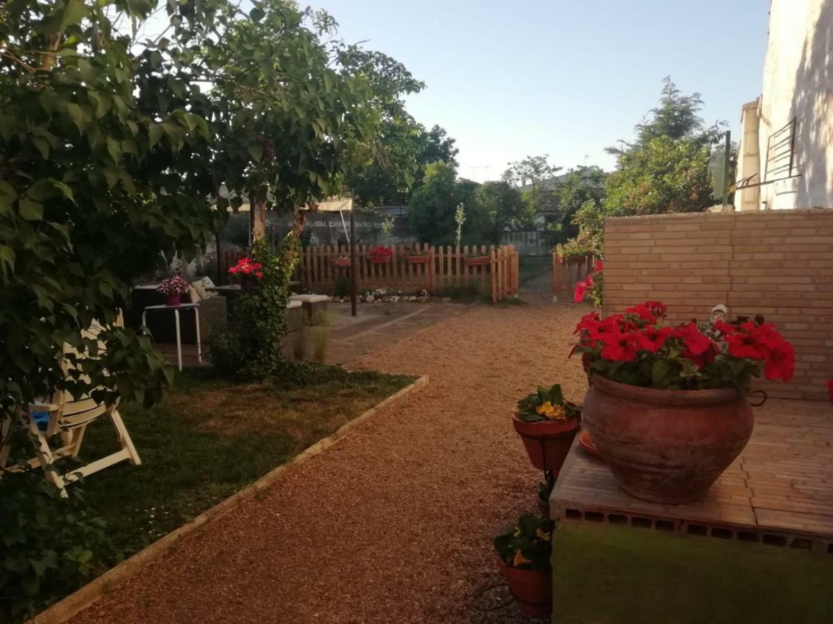 Вилла Boleta A 5 Minutos De Leon, Casa Con Jardin Сан-Андрес-дель-Рабанедо Экстерьер фото